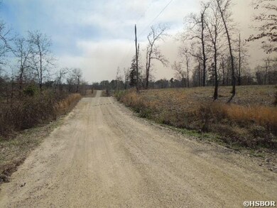 0 Ladybug Way unit 121146, Royal, AR 71968 - photo 3