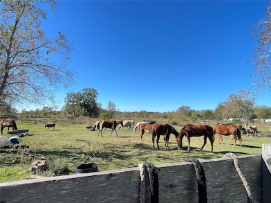 311 County Road 488, Sweeny, TX 77480 - photo 6