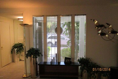 Living room window looking out to street