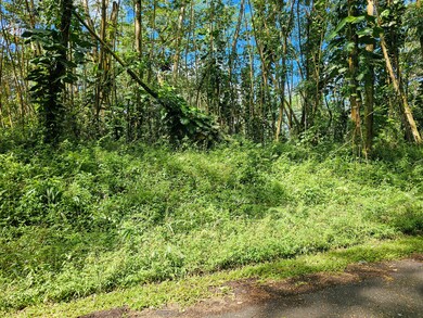 0 Flower Rd unit 717233, Pahoa, HI 96778 - photo 6