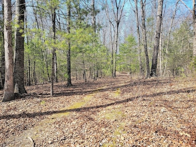 Wooded Lot