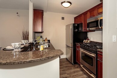 Parris Landing unit 5519, Charlestown, MA 02129 - photo 7