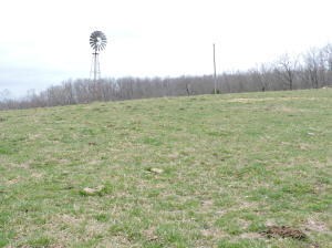 6-pasture