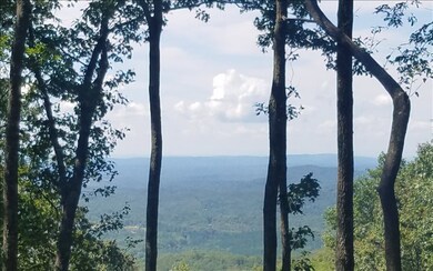 Additional View