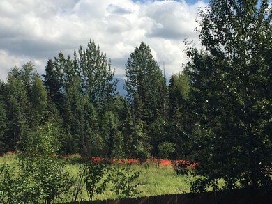 View from Back Deck