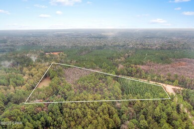 XXX White Rd unit 12.78 Acres, Chipley, FL 32428 - photo 7