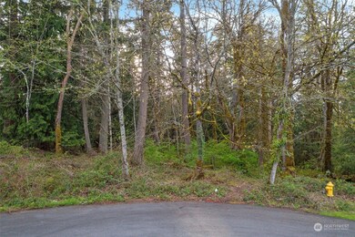 19700 SE 17th St, Sammamish, WA 98075 - photo 5