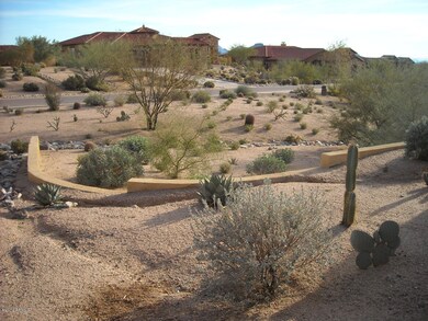 Front Yard/Driveway