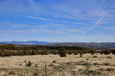 0 Tl 3200 Thomas Rd unit 24807815, Prineville, OR 97754 - photo 4
