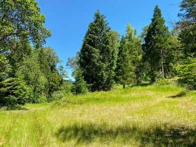 IMG_4542