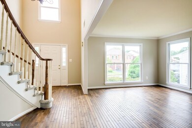 13610 Clary Sage Dr, Chantilly, VA 20151 - photo 3