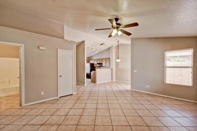 Vaulted Ceilings and Plant Shelves