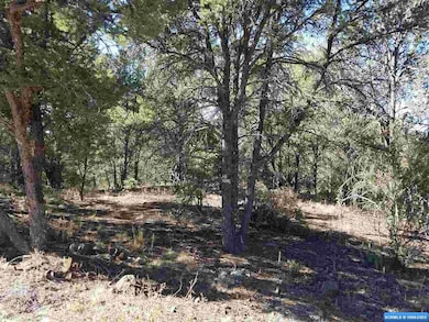 56 Vesuvius Way, Silver City, NM 88061 - photo 3