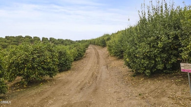 2-web-or-mls-Upmarketmedia_Donlon-9 (1)