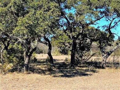 0 Pfiester Rd unit 79197, Fredericksburg, TX 78624 - photo 3