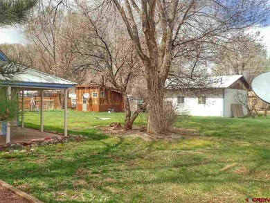 Spacious Yard