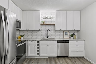 14067 81st Ave N, Osseo, MN 55311 - photo 4