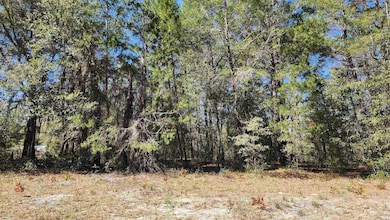 Tbd Dawn Ave, Interlachen, FL 32148 - photo 2