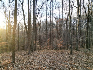 5010 Chinkapin Ln, Franklin, TN 37069 - photo 5