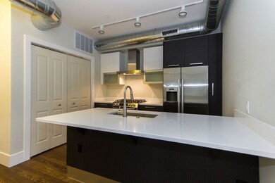 10 St George St unit 506, Boston, MA 02118 - photo 3