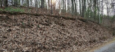 0 Emerald Springs Loop unit 1205247, Sevierville, TN 37862 - photo 2