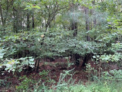 10.88 AC Beech Creek Rd, Gloucester, VA 23061 - photo 6