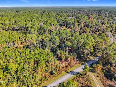 810 Paradise Blvd, Georgetown Cove, FL 32139 - photo 6