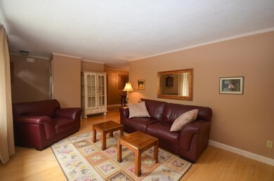 43 Donna Rd, Holliston, MA 01746 - photo 3