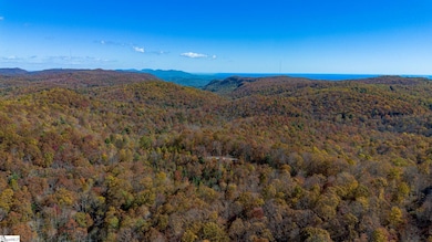 126 Old Springfield Rd, Cleveland, SC 29635 - photo 4