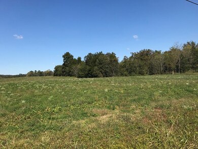 Tract 1 Franks Ferry Rd, Sparta, TN 38583 - photo 4