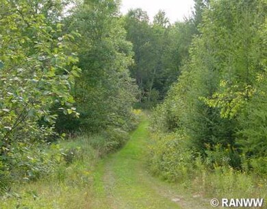 W13900 Hwy D, Weyerhaeuser, WI 54895 - photo 5