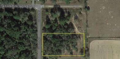 Lot 2 SW Yazoo Ct, Dunnellon, FL 34431 - photo 4