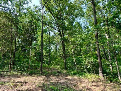 Gorgeous Secluded Acreage