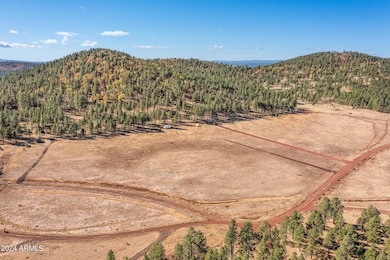 5 Acre Lot