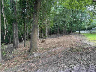 25 Crickle Creek Ln, Camden, SC 29020 - photo 6