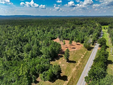 0 Coaling Rd unit 24403018, Sylacauga, AL 35151 - photo 3