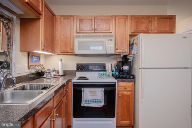 3200 Joppa Ct, Harrisonburg, VA 22801 - photo 7