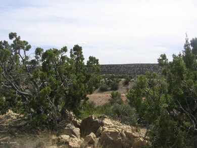 Swenson 40 acres 009.JPG