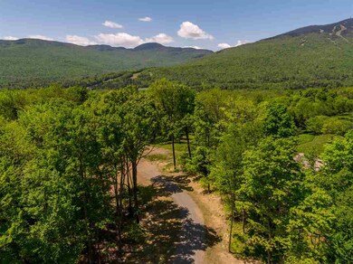 112 Thomas Pasture Rd unit 67, Stowe, VT 05672 - photo 3