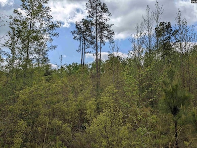 2206 Highway 1 S, Elgin, SC 29045 - photo 2