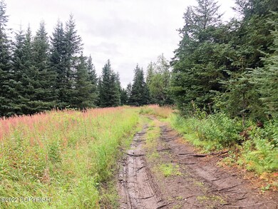 W1 Alaskan Wildwood Ranch(r), Nikolaevsk, AK 99556 - photo 2