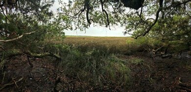 2780 Lawrence Rd, Saint Simons Island, GA 31522 - photo 2