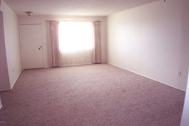 11006 W Santa fe Dr, Sun City, AZ 85351 - photo 2