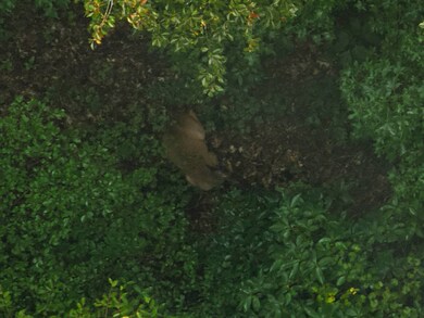 TBD Eason Rd, Columbia, LA 71418 - photo 7