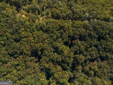 0 Shadowick Mountain Rd unit 10622865, Jasper, GA 30143 - photo 7