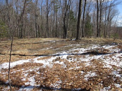 5 Isaac Frye Hwy, Wilton, NH 03086 - photo 5