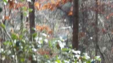 588 Crowe Mountain Rd, Walhalla, SC 29691 - photo 6