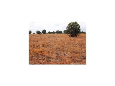 61 Juniperwood Ranch, Ash Fork, AZ 86320 - photo 3