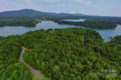 377 Harborside Dr unit 245, Nebo, NC 28761 - photo 7