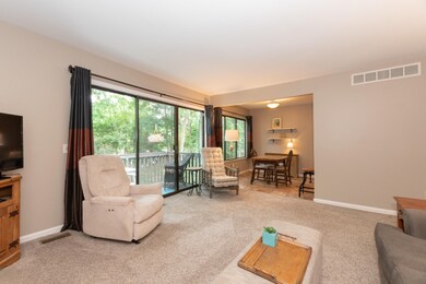 249 Ballantrae Ct unit B, Kalamazoo, MI 49006 - photo 4